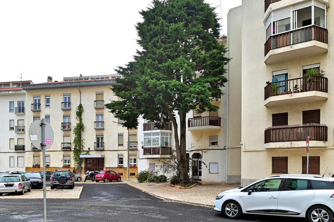 Cascais Studio Outdoor Patio Newly Renovated Εξωτερικό φωτογραφία